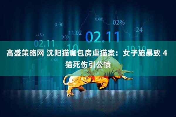 高盛策略网 沈阳猫咖包房虐猫案：女子施暴致 4 猫死伤引公愤