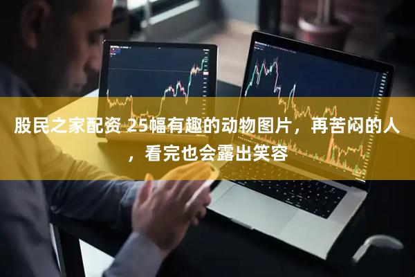 股民之家配资 25幅有趣的动物图片，再苦闷的人，看完也会露出笑容
