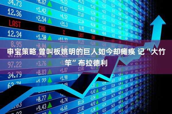 申宝策略 曾叫板姚明的巨人如今却瘫痪 记“大竹竿”布拉德利