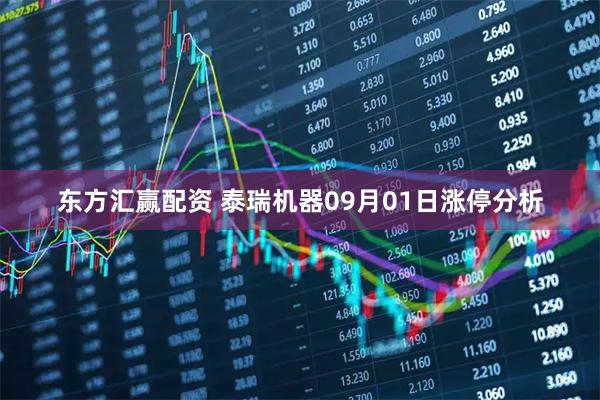 东方汇赢配资 泰瑞机器09月01日涨停分析
